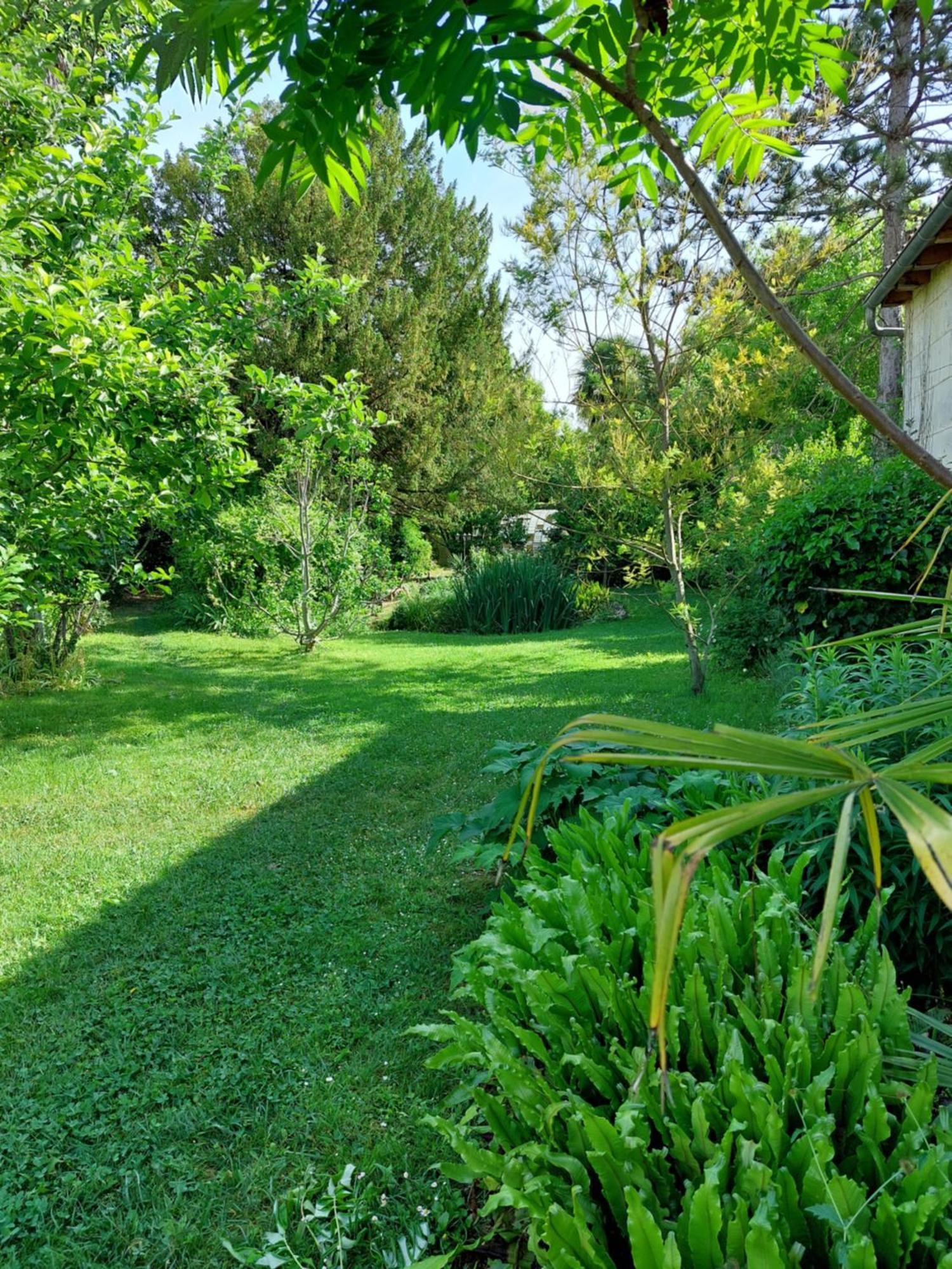 La Gueriniere Bella Romantica Châteauneuf-sur-Charente Εξωτερικό φωτογραφία